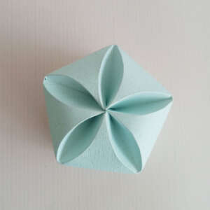 flower Gift box (pack of 10)