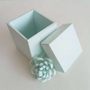 box (pack of 10)